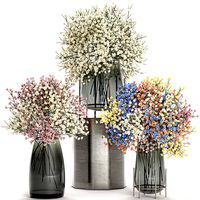 Gypsophila Flowers (331082)