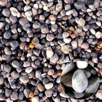 Pebble sea n3 (331067)