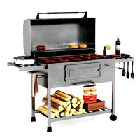 Barbecue 14 (330918)