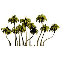 Coconut tree beach (329817)