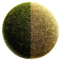 Scanned Grass Materials (2 Materials) (329321)