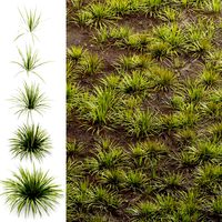 Grass 001 (328943)