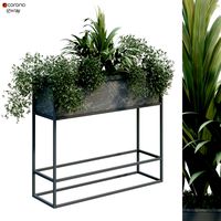 Interior plant in box set 254 (328838)