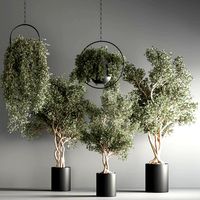 Indoor plant set 29 (328220)