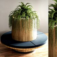 Seat and Outdoor Plants 01 (328030)