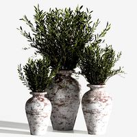 Indoor Plant Set 15 (328019)