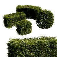 4 shaped topiary plant (327790)