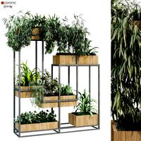 Vertical plant in box set 239 (326410)