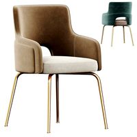 Modern dining chair (326064)