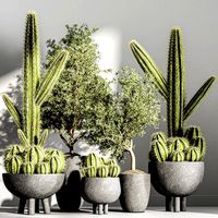 Indoor plant stand 50 (325945)