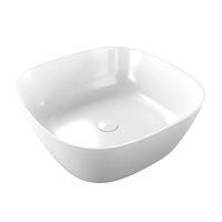 4.31001.20 Allen Brau Priority sink (325275)