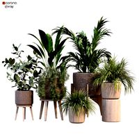 Plants in vases collection 214 (324929)