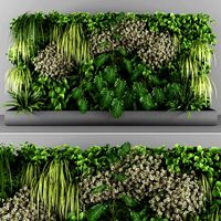 Vertical garden 098 (322463)