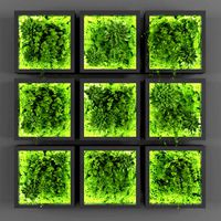 Vertical Garden 093 (322458)