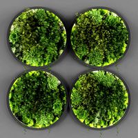 Vertical garden 088 (322408)