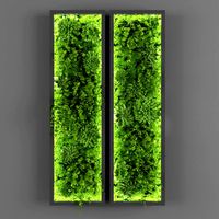 Vertical garden Phytomodule 082 (322147)