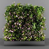 Vertical garden Phytomodule 078 (322143)