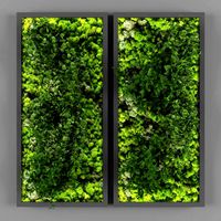 Vertical garden Phytomodule 062 (322119)
