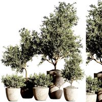 Indoor plant stant 49 (321839)