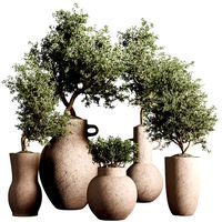 Indoor plants stant 48 (321838)