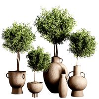 Stant Indoor plant 47 (321513)