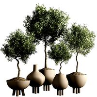 Indoor plant stant 46 (321325)