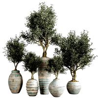 Indoor plant Stant 44 (321295)