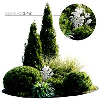 Alpine slide (319151)