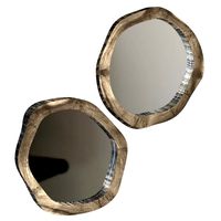 Slab Mirror (317949)
