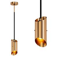 SP008 Any-Home Pendant (317362)