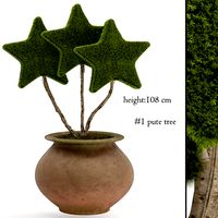Star tree moss topiary (266351)