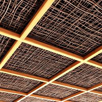 Branch dry long ceiling n5 (258994)