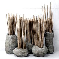 Stone dishes plant n1 (258905)