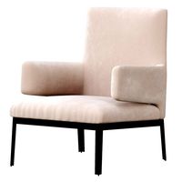 Arflex Hug armchair (255817)