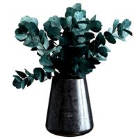 Bouquet of eucalyptus sprigs (253750)