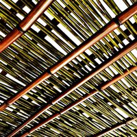 Branch bamboo long low n3 (246640)