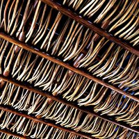 Ceiling beam branch crooked n1 (245607)