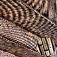 Ceiling bamboo branch low n5 (244604)
