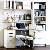 IKEA Office workplace 101 (224283)