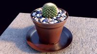 FDI Potted cactus (224280)
