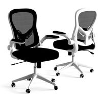 Xiaomi HBADA Ergonomic Double-Waisted computer chair HDNY163WM (191783)