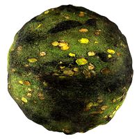 PBR material 08 - Mossy and Grass 4K (186607)