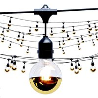 Gold Tip Led Bulb String Lights (181754)