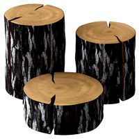 Slab Coffee Table (181208)