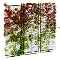 Ivy wall Seven (169770)