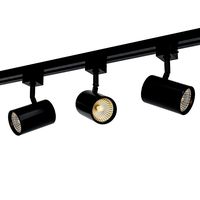 WAC Charge Track Light (168384)