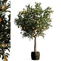 Orange Tree (168015)