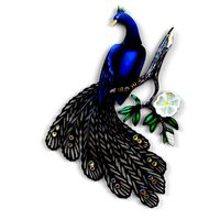 Peacock Wall Decor (160170)