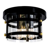 Eagleton Ceiling Light (149017)