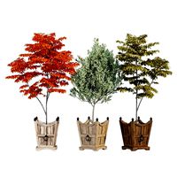 Plant in pots Tuxedo by Napa Home & Garden (148881)
